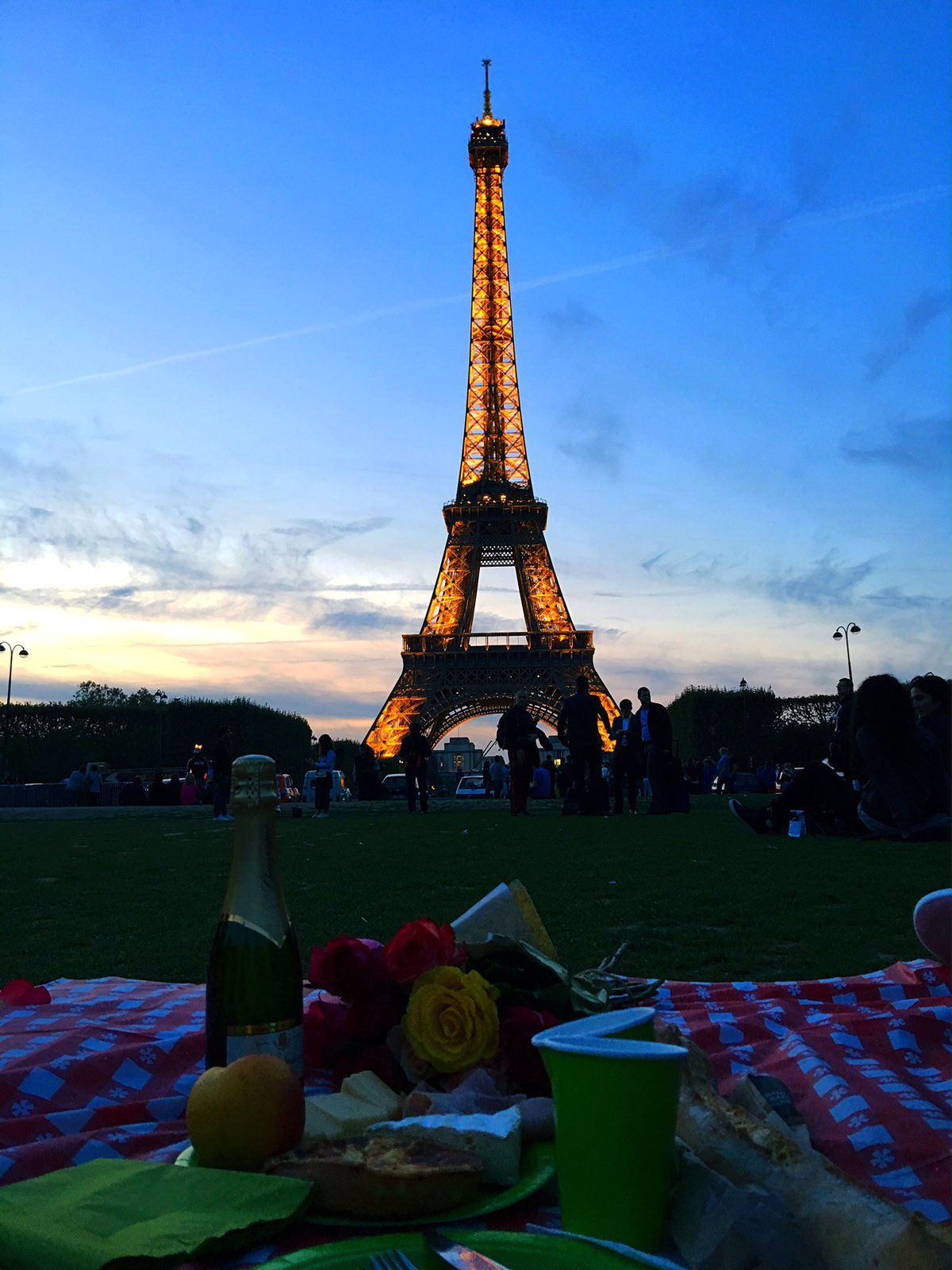 Eiffel Tower picnic at night